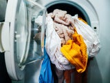 Genial: Darum sollten Sie Lorbeerblätter in die Waschmaschine geben