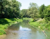 Fische lieben es „barrierefrei“