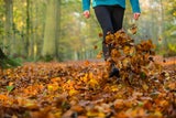 Wandern im Herbst: Die 7 schönsten Routen in Österreich