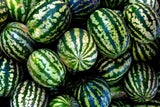 Kein Fehlgriff: So erkennen Sie eine wirklich gute Wassermelone