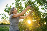 Garten herbstfit machen: Diese Fehler sollten Sie im September vermeiden
