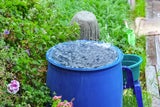 Günstig gärtnern: Mit diesen genialen Tricks sparen Sie Geld im Garten