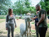 "Willst Du mit mir gehen?": Die neue ORF-Show ab 26. September