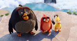 "Angry Birds": Vögel & Schweine sind los