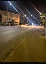 Elch Emil