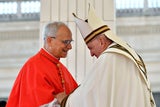 Papst Franziskus Francis Prevost