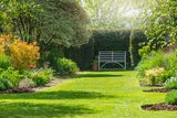So bereiten Sie Ihren Garten auf die extreme Sommerhitze vor