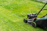 Im Juni: Diese Gartenarbeiten dürfen Sie auf keinen Fall verpassen!