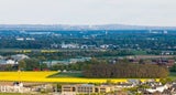 Rapsfeld
