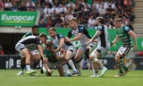 Newcastle Falcons