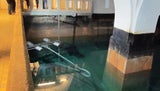 Wasser Wien