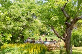Längster Tag des Jahres: Die schönsten Rituale zur Sommersonnenwende