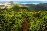 Die 10 besten Touri-Führungen weltweit laut Travellers’ Choice Awards 2025