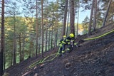 Schwieriger Einsatz in unwegsamem Gelände.