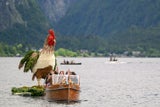 Bootskorso am Narzissenfest