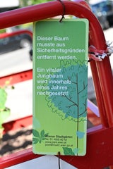 Begrünung im 3. Bezirk