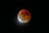 Mond