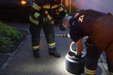 Während der Fahrt: Schlange schlängelt sich aus Motorhaube