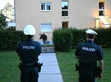 Elch Emil