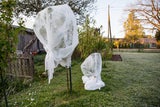 Kälte-Alarm im Frühling: So retten Sie jetzt Ihren Garten!
