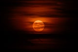 Erdbeermond über Wien