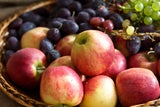 Jetzt zugreifen: Dieses Obst und Gemüse sollten Sie im September nicht verpassen