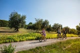 Emilia-Romagna auf zwei Rädern entdecken