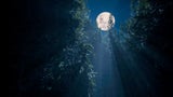 Vollmond am 9. August: Diese 4 Sternzeichen stehen jetzt vor großen inneren Umbrüchen