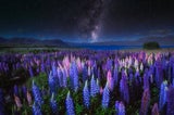 Sommer Horoskop