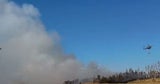 waldbrand thüringen