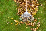 Garten herbstfit machen: Diese Fehler sollten Sie im September vermeiden