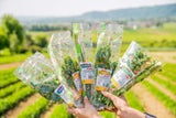 Die BeeWild-Kräuter – direkt vom Feld ins Regal: Mit jeder Packung unterstützen Spar-Kunden den Schutz von Bestäubern und die Vielfalt heimischer Landschaften.