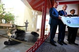 "Übergabe eines neuen Panda-Paars"