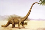 Illustration: Ein Mamenchisaurus frisst Blätter von einem Baumast.&nbsp;