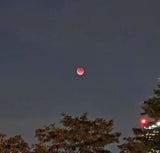 Blutmond über Wien