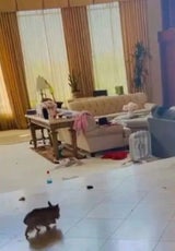 Britney Spears gewährte auf Instagram Einblick in ihr Chaos. Überall liegen Sachen herum, auf dem Boden sieht man Hundekot.&nbsp;