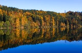 Statt Attersee: Diese Badeseen in Oberösterreich sind noch nicht so überlaufen