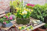 Frühling auf Balkon & Terrasse: Mit diesen Tipps wird’s richtig schön