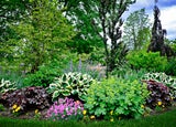 DIESE Pflanzen gehören in einen schönen Garten