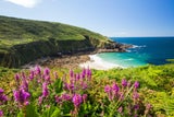 Urlaub in der Klimakrise: Diese Reiseziele werden die neuen Sommer-Hotspots