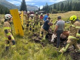 Großeinsatz wegen Kuh Feuerwehr Ramingstein