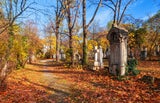 Friedhof Wien