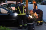 Während der Fahrt: Schlange schlängelt sich aus Motorhaube