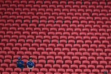 LA FC Chelsea Fans