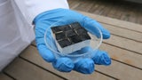 Balsaholz, Sonne und Technik: Ein neuer Weg zu sauberem Wasser.&nbsp;