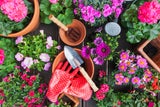 Gartenarbeiten im August