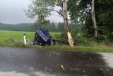 Baum spaltete Auto