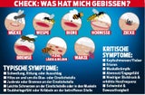 Stiche Insekten