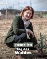 Michaela Langer-Weninger