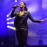 Donauinselfest 2013